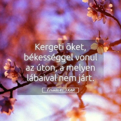 Picture 05 - Ézsaiás 41:3 KAR - Kergeti õket, békességgel vonul az úton, a - Bible Verse Picture