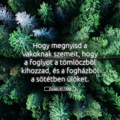 Picture 05 - Ézsaiás 42:7 KAR - Hogy megnyisd a vakoknak szemeit, hogy a foglyot - Bible Verse Picture