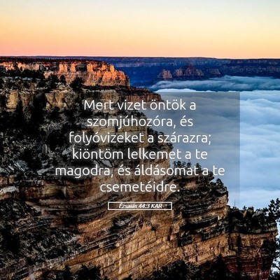 Picture 05 - Ézsaiás 44:3 KAR - Mert vizet öntök a szomjúhozóra, és - Bible Verse Picture