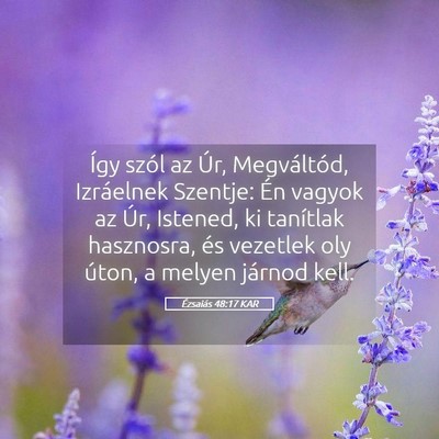 Picture 05 - Ézsaiás 48:17 KAR - Így szól az Úr, Megváltód, Izráelnek - Bible Verse Picture