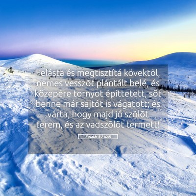 Picture 05 - Ézsaiás 5:2 KAR - Felásta és megtisztítá kövektõl, nemes - Bible Verse Picture