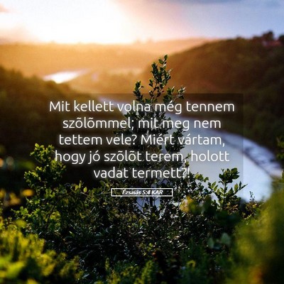 Picture 05 - Ézsaiás 5:4 KAR - Mit kellett volna még tennem szõlõmmel; mit - Bible Verse Picture