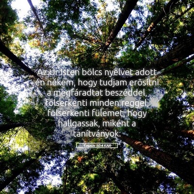 Picture 05 - Ézsaiás 50:4 KAR - Az Úr Isten bölcs nyelvet adott én nékem, - Bible Verse Picture
