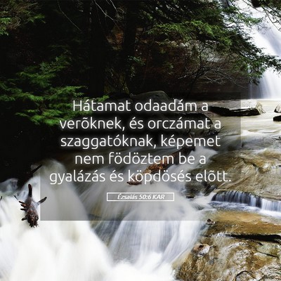 Picture 05 - Ézsaiás 50:6 KAR - Hátamat odaadám a verõknek, és orczámat a - Bible Verse Picture