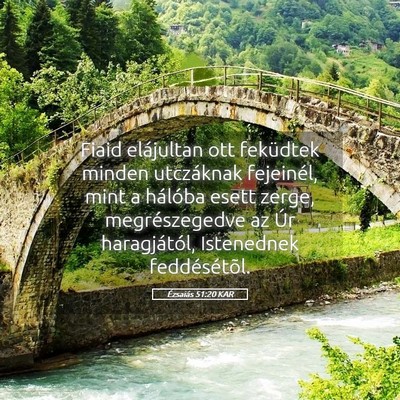Picture 05 - Ézsaiás 51:20 KAR - Fiaid elájultan ott feküdtek minden utczáknak - Bible Verse Picture