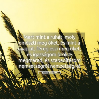 Picture 05 - Ézsaiás 51:8 KAR - Mert mint a ruhát, moly emészti meg õket, és - Bible Verse Picture