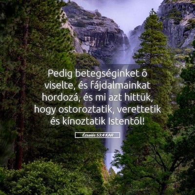 Picture 05 - Ézsaiás 53:4 KAR - Pedig betegséginket õ viselte, és - Bible Verse Picture