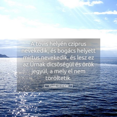 Picture 05 - Ézsaiás 55:13 KAR - A tövis helyén cziprus nevekedik, és bogács - Bible Verse Picture