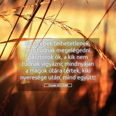 Picture 05 - Ézsaiás 56:11 KAR - És ez ebek telhetetlenek, nem tudnak - Bible Verse Picture