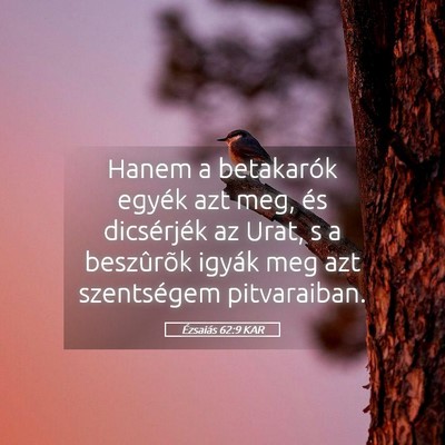 Picture 05 - Ézsaiás 62:9 KAR - Hanem a betakarók egyék azt meg, és - Bible Verse Picture