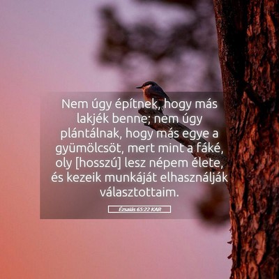 Picture 05 - Ézsaiás 65:22 KAR - Nem úgy építnek, hogy más lakjék benne; nem - Bible Verse Picture