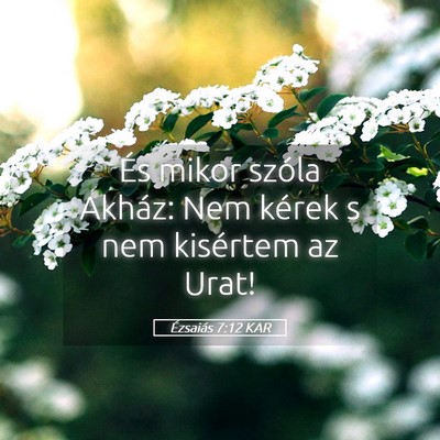 Picture 05 - Ézsaiás 7:12 KAR - És mikor szóla Akház: Nem kérek s nem - Bible Verse Picture