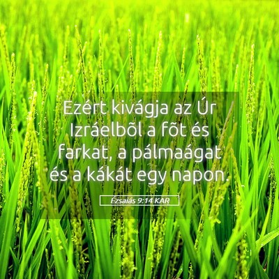Picture 05 - Ézsaiás 9:14 KAR - Ezért kivágja az Úr Izráelbõl a fõt és - Bible Verse Picture