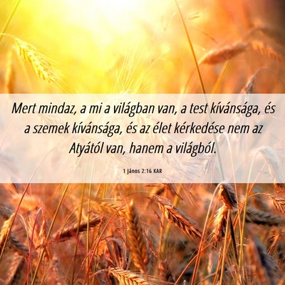 Picture 06 - 1 János 2:16 KAR - Mert mindaz, a mi a világban van, a test - Bible Verse Picture