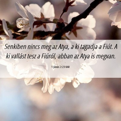 Picture 06 - 1 János 2:23 KAR - Senkiben nincs meg az Atya, a ki tagadja a Fiút. - Bible Verse Picture