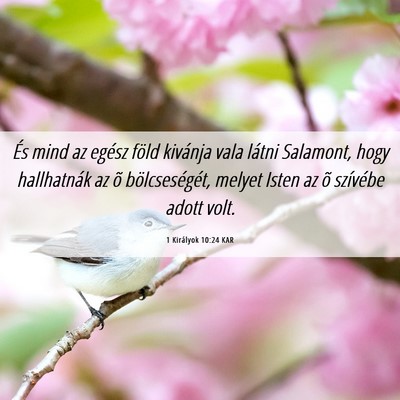 Picture 06 - 1 Királyok 10:24 KAR - És mind az egész föld kivánja vala látni - Bible Verse Picture