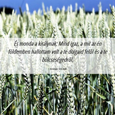 Picture 06 - 1 Királyok 10:6 KAR - És monda a királynak: Mind igaz, a mit az én - Bible Verse Picture