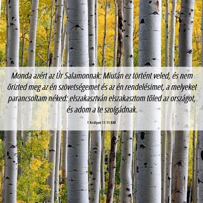 Picture 06 - 1 Királyok 11:11 KAR - Monda azért az Úr Salamonnak: Miután ez - Bible Verse Picture