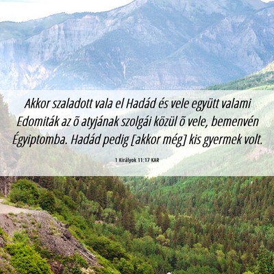 Picture 06 - 1 Királyok 11:17 KAR - Akkor szaladott vala el Hadád és vele együtt - Bible Verse Picture