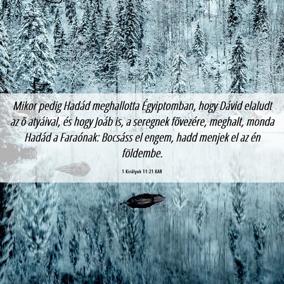 Picture 06 - 1 Királyok 11:21 KAR - Mikor pedig Hadád meghallotta Égyiptomban, hogy - Bible Verse Picture