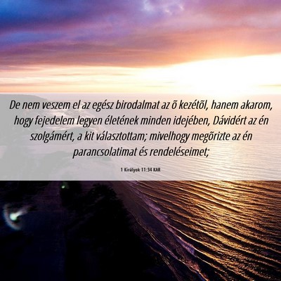 Picture 06 - 1 Királyok 11:34 KAR - De nem veszem el az egész birodalmat az õ - Bible Verse Picture