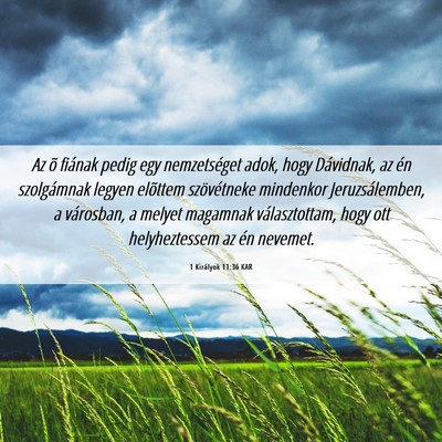 Picture 06 - 1 Királyok 11:36 KAR - Az õ fiának pedig egy nemzetséget adok, hogy - Bible Verse Picture