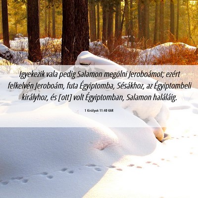 Picture 06 - 1 Királyok 11:40 KAR - Igyekezik vala pedig Salamon megölni - Bible Verse Picture