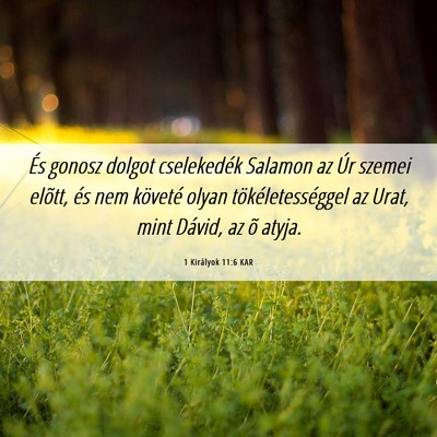 Picture 06 - 1 Királyok 11:6 KAR - És gonosz dolgot cselekedék Salamon az Úr - Bible Verse Picture