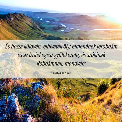 Picture 06 - 1 Királyok 12:3 KAR - És hozzá küldvén, elhivaták õt); elmenének - Bible Verse Picture