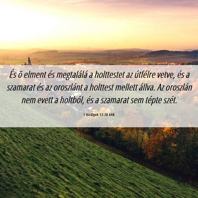 Picture 06 - 1 Királyok 13:28 KAR - És õ elment és megtalálá a holttestet az - Bible Verse Picture