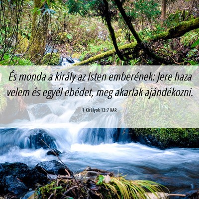 Picture 06 - 1 Királyok 13:7 KAR - És monda a király az Isten emberének: Jere - Bible Verse Picture