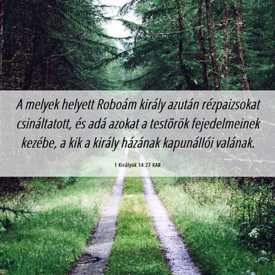 Picture 06 - 1 Királyok 14:27 KAR - A melyek helyett Roboám király azután - Bible Verse Picture