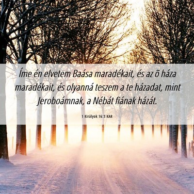 Picture 06 - 1 Királyok 16:3 KAR - Íme én elvetem Baása maradékait, és az õ - Bible Verse Picture