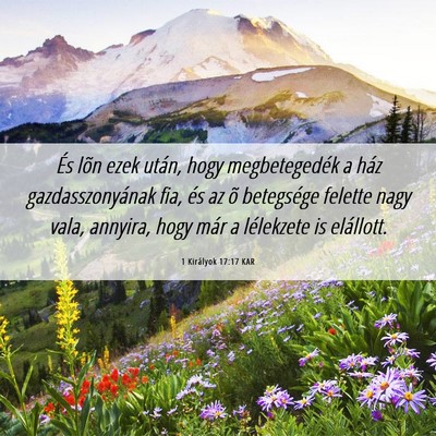 Picture 06 - 1 Királyok 17:17 KAR - És lõn ezek után, hogy megbetegedék a ház - Bible Verse Picture