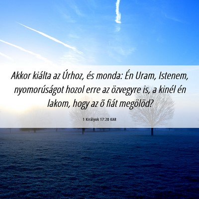 Picture 06 - 1 Királyok 17:20 KAR - Akkor kiálta az Úrhoz, és monda: Én Uram, - Bible Verse Picture