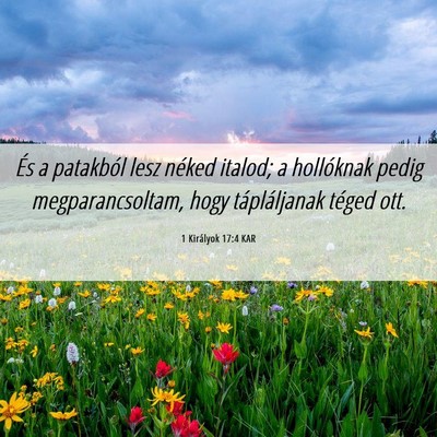 Picture 06 - 1 Királyok 17:4 KAR - És a patakból lesz néked italod; a hollóknak - Bible Verse Picture
