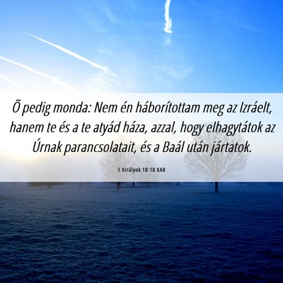 Picture 06 - 1 Királyok 18:18 KAR - Õ pedig monda: Nem én háborítottam meg az - Bible Verse Picture