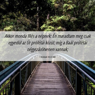 Picture 06 - 1 Királyok 18:22 KAR - Akkor monda Illés a népnek: Én maradtam meg - Bible Verse Picture