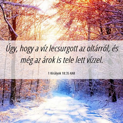 Picture 06 - 1 Királyok 18:35 KAR - Úgy, hogy a víz lecsurgott az oltárról, és - Bible Verse Picture