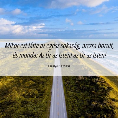 Picture 06 - 1 Királyok 18:39 KAR - Mikor ezt látta az egész sokaság, arczra - Bible Verse Picture
