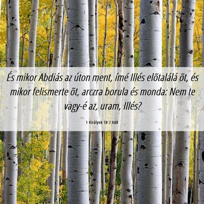 Picture 06 - 1 Királyok 18:7 KAR - És mikor Abdiás az úton ment, ímé Illés - Bible Verse Picture