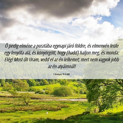 Picture 06 - 1 Királyok 19:4 KAR - Õ pedig elméne a pusztába egynapi járó - Bible Verse Picture