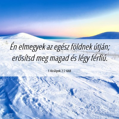 Picture 06 - 1 Királyok 2:2 KAR - Én elmegyek az egész földnek útján; - Bible Verse Picture
