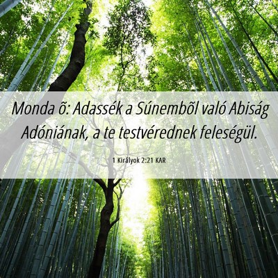 Picture 06 - 1 Királyok 2:21 KAR - Monda õ: Adassék a Súnembõl való Abiság - Bible Verse Picture