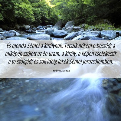 Picture 06 - 1 Királyok 2:38 KAR - És monda Sémei a királynak: Tetszik nékem e - Bible Verse Picture