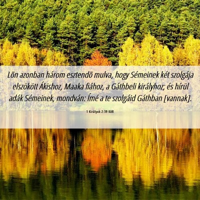Picture 06 - 1 Királyok 2:39 KAR - Lõn azonban három esztendõ mulva, hogy - Bible Verse Picture