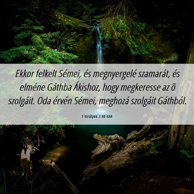 Picture 06 - 1 Királyok 2:40 KAR - Ekkor felkelt Sémei, és megnyergelé szamarát, - Bible Verse Picture