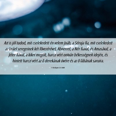 Picture 06 - 1 Királyok 2:5 KAR - Azt is jól tudod, mit cselekedett én velem - Bible Verse Picture