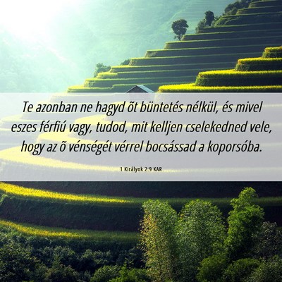 Picture 06 - 1 Királyok 2:9 KAR - Te azonban ne hagyd õt büntetés nélkül, és - Bible Verse Picture