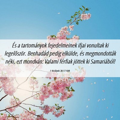 Picture 06 - 1 Királyok 20:17 KAR - És a tartományok fejedelmeinek ifjai vonultak - Bible Verse Picture